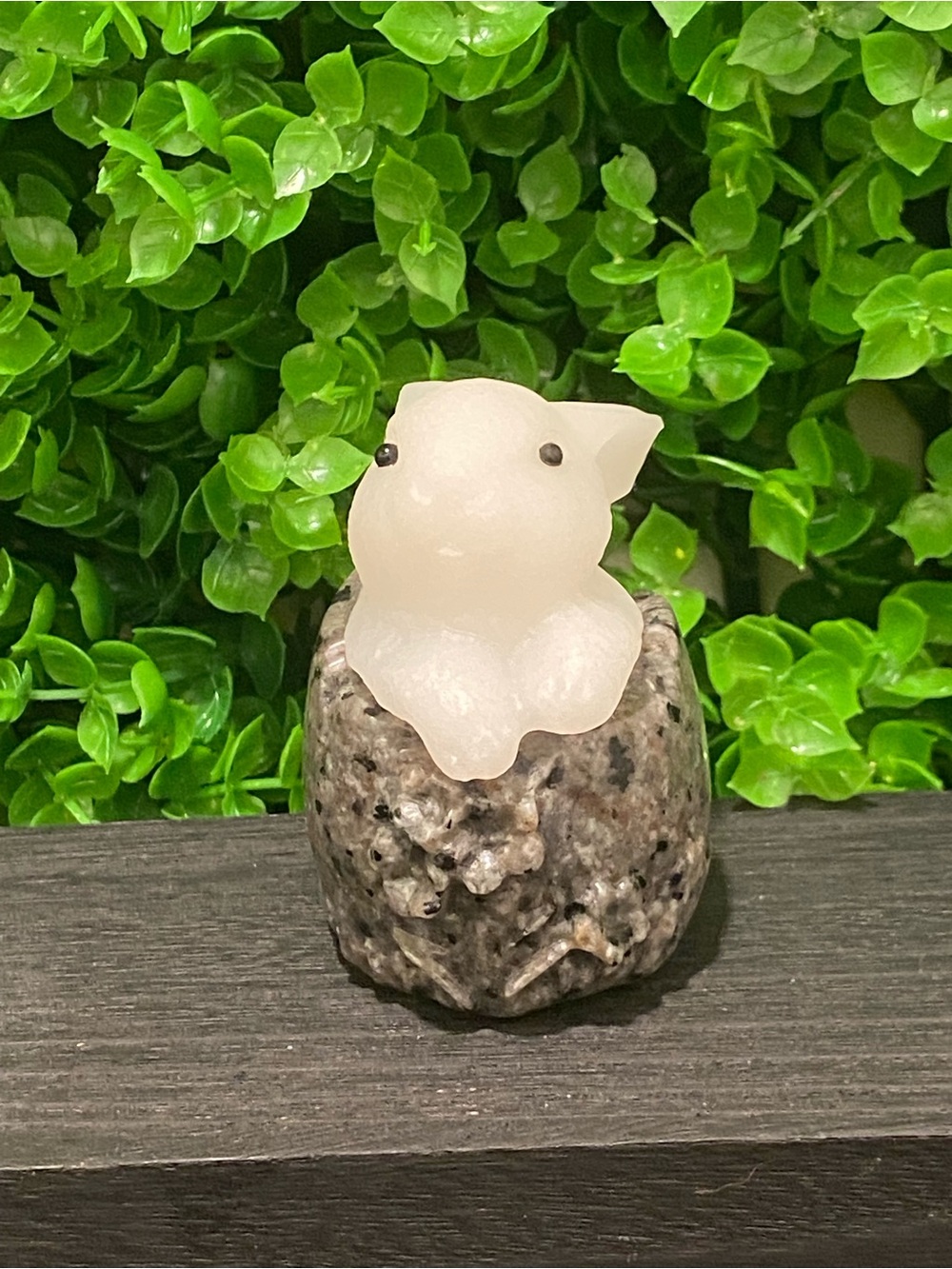White Jade Rabbit Craving inside Yooperlite basket - Picture 5 of 6